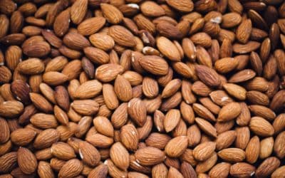 How to Eat More Fats & Best/Worst Nuts