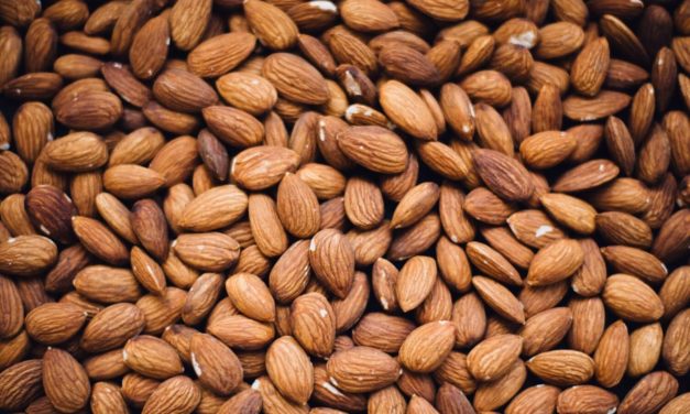 How to Eat More Fats & Best/Worst Nuts