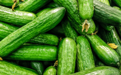 Is cucumber keto friendly?